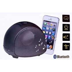 Bluetooth luidspreker